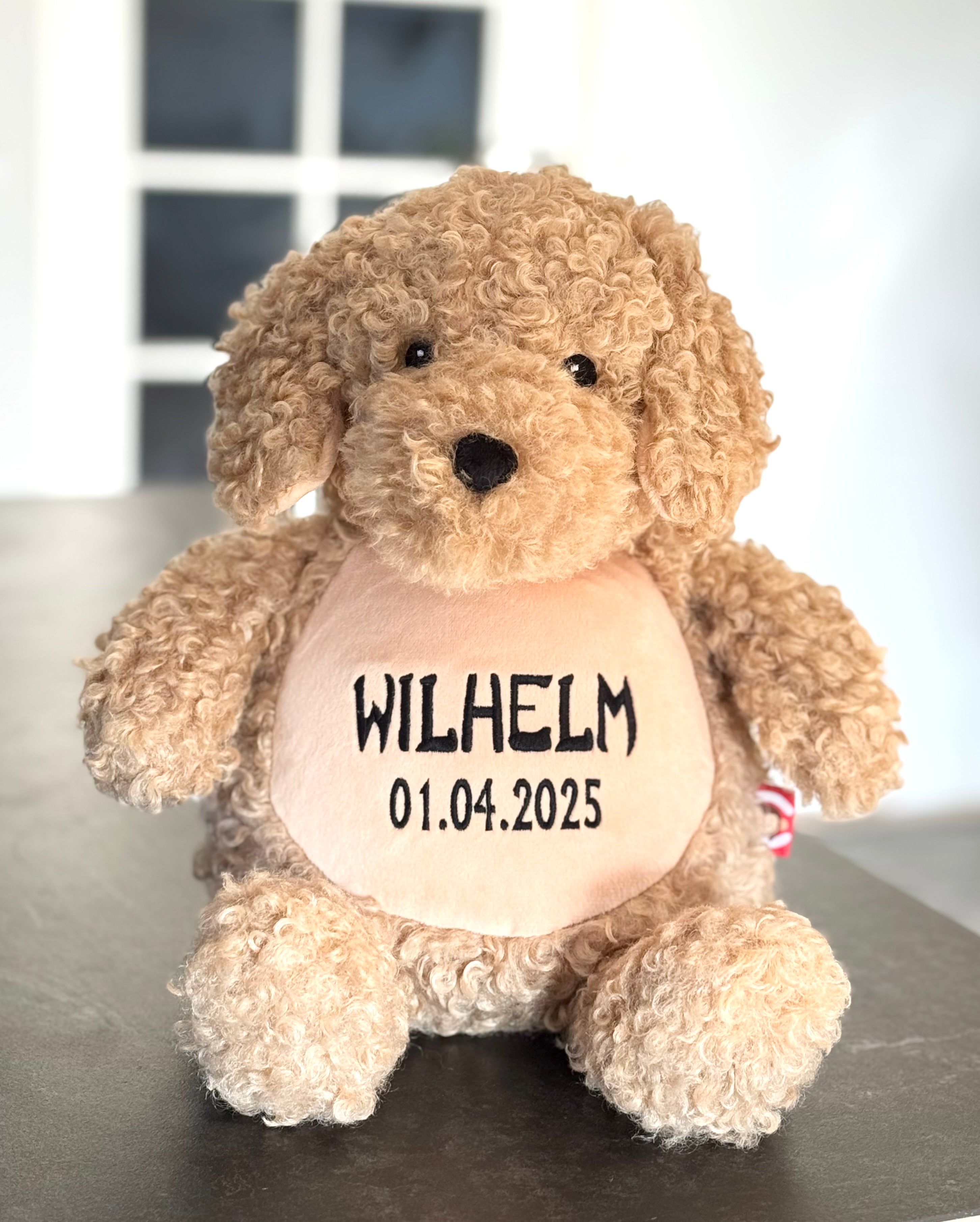 Labradoodle (C) bamse