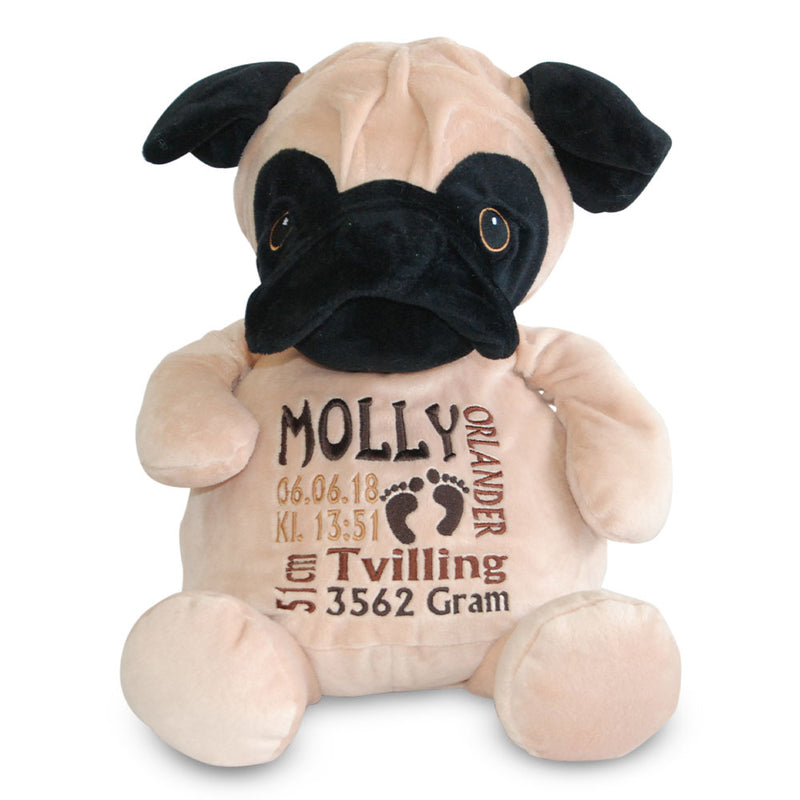 Hund-mops bamse